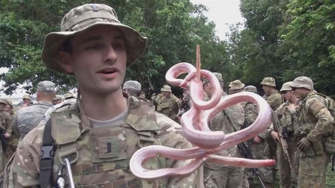 Einfach überleben: US-Soldaten mit echtem Schlangenfraß