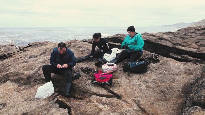 Seepocken-Sammlerinnen: Für ihrem Job riskieren sie ihr Leben