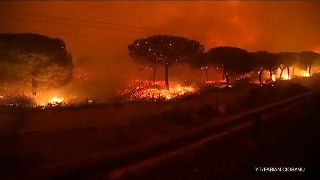 Brandstiftung: Spaniens Nationalpark in Gefahr