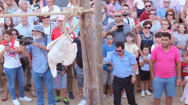 Brutale Tradition: Wie Tiere auf spanischen Volksfesten gequält werden