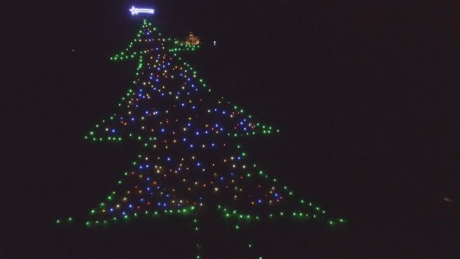 Riesending: Der weltgrößte Weihnachtsbaum